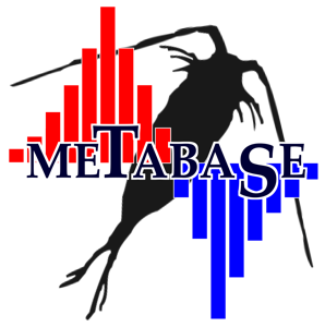 METABASE Logo